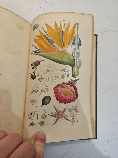 Smith (James Edward). A Grammar of Botany. 1826. Hand Coloured Plates