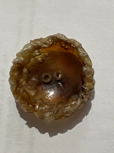Lot De Mercerie Ancienne : Boutons En Résine Et Passementerie Bruns épais - Idéal Pour Customisation Ou Couture Rétro