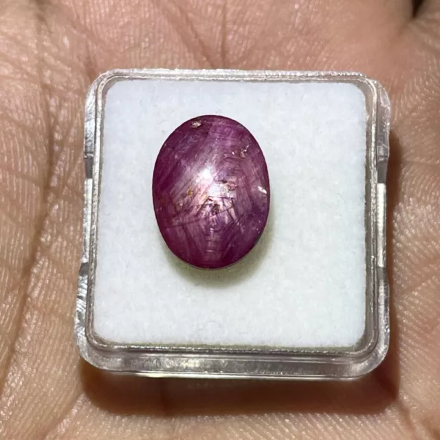 8.00 Cts Unheated Natural Star Ruby 13.5x10mm Ring Size Loose Cabochon Gemstone