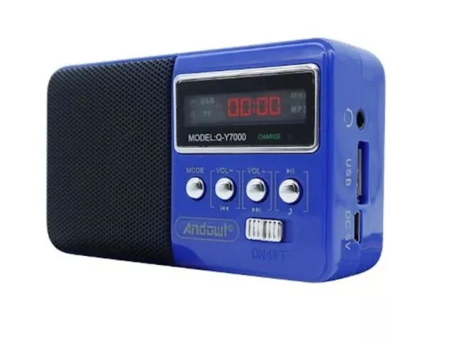 Cassa Speaker Wireless Portatile Ricaricabile Usb Bluetooth Radio Fm