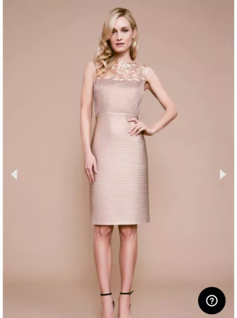 NWT Tadashi Shoji Embroidered Knee Length Champagne Dress Size Large Paid $328