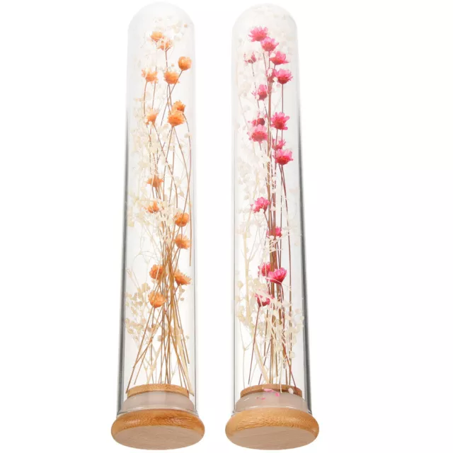 2 Pcs Glas Reagenzglas Getrocknete Blumen Layout-Requisiten