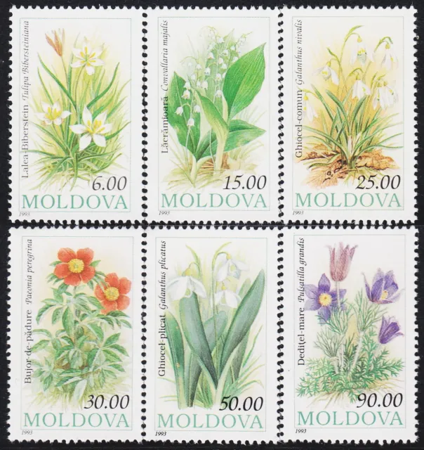 Moldavie 71/76 1993 Flore Fleurs MNH