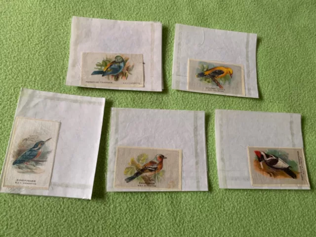 bdv cigarette silks birds