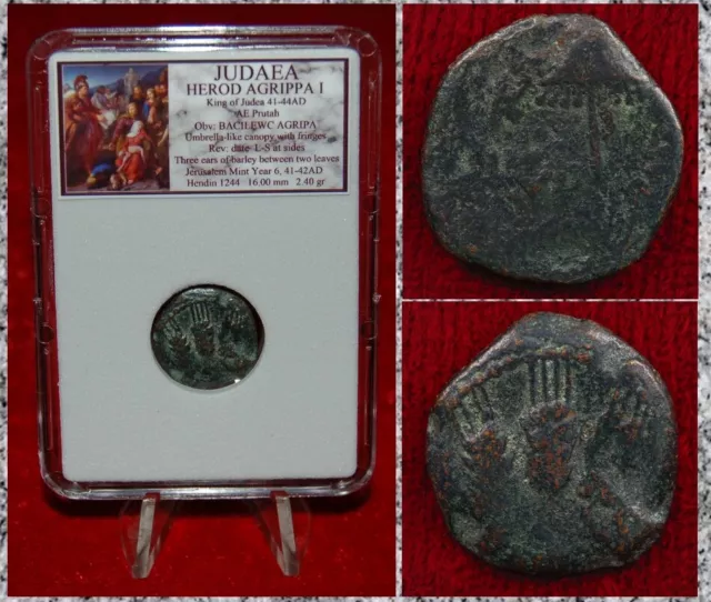 Ancient Coin JUDAEA Prutah HEROD AGRIPPA I Appointed By Caligula Jerusalem Mint