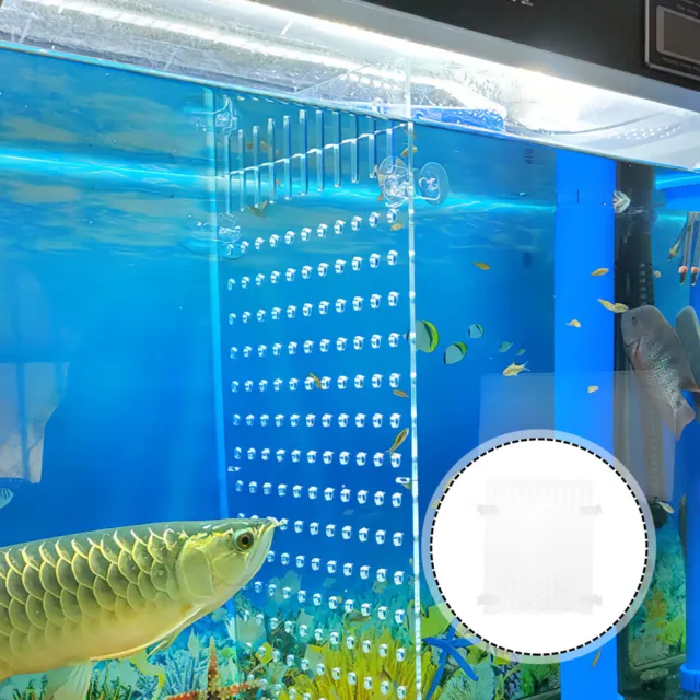 Acrylic Fish Tank Isolation Board Divider Aquarium Separator