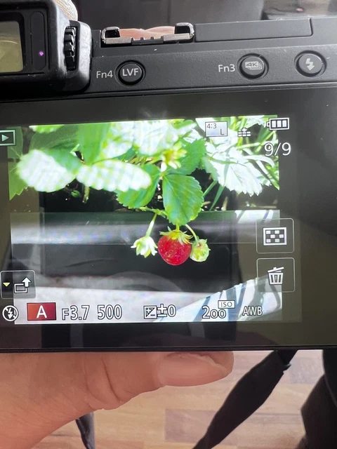 Panasonic LUMIX GX80 16.0MP Digitalkamera - Schwarz