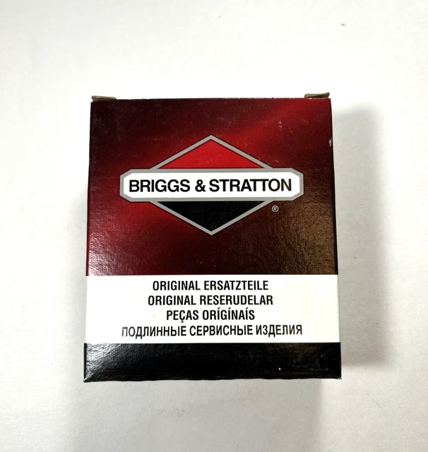 Briggs & Stratton 992236 motore Care Kit – nero