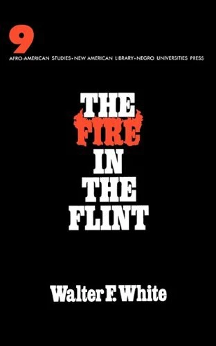 THE FIRE IN THE FLINT By Walter F. White & Walter Francis White **BRAND NEW**