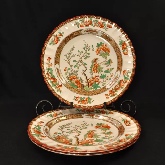 Spode Copeland 3 Dinner Plates 10 3/8" Hand Painted India Tree Rust Green 1948