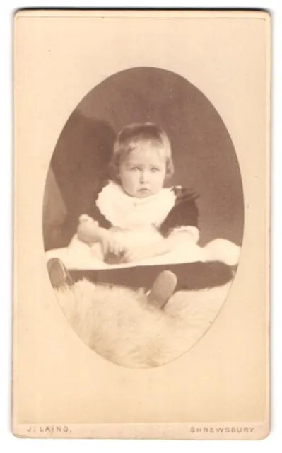 Photography J. Laing, Shrewsbury, Castle Street, Toddler in Dress on Fur Deck