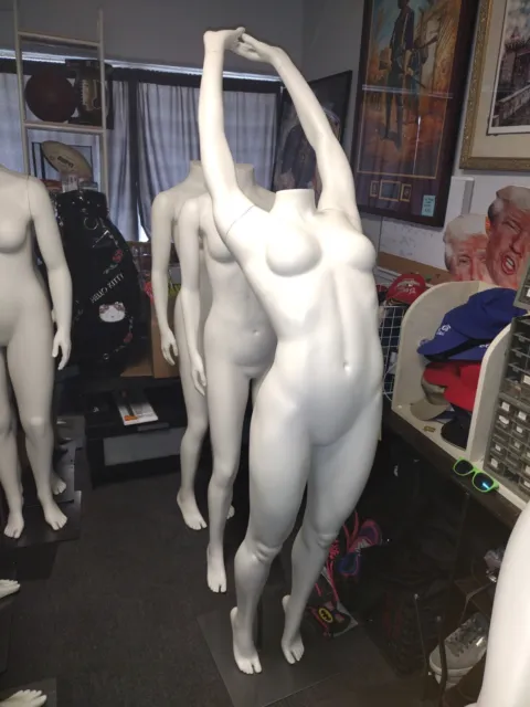 Fusion Specialties ARCHED BACK FEMALE Mannequin Withstand Others Also Avail  HTF