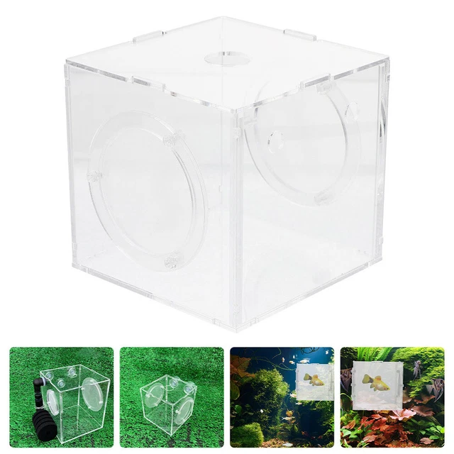 Contenedor aislante de peces caja de cría caja de aislamiento recipiente de plástico divisor