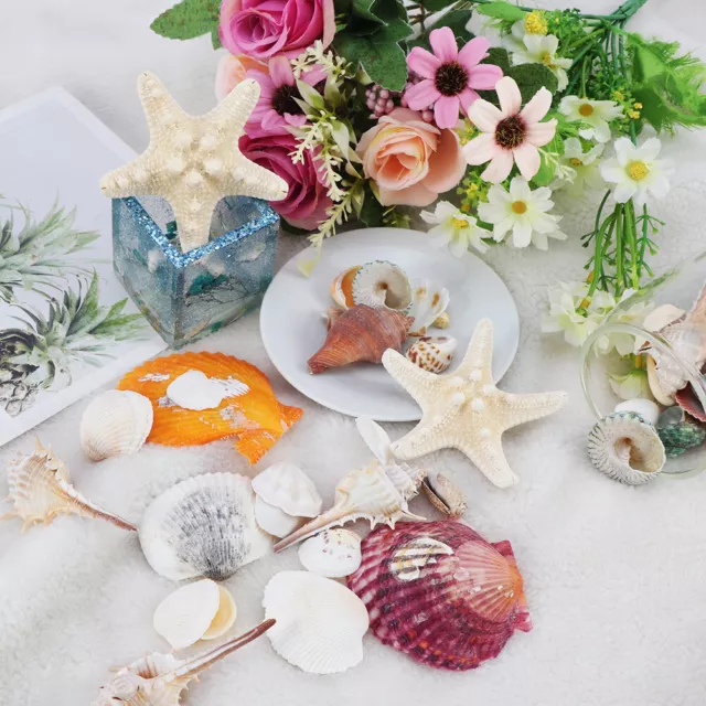 45pcs Mixed Crafts Natural Conch Ocean Star Charms Fish Tank Ornaments Sea Shell