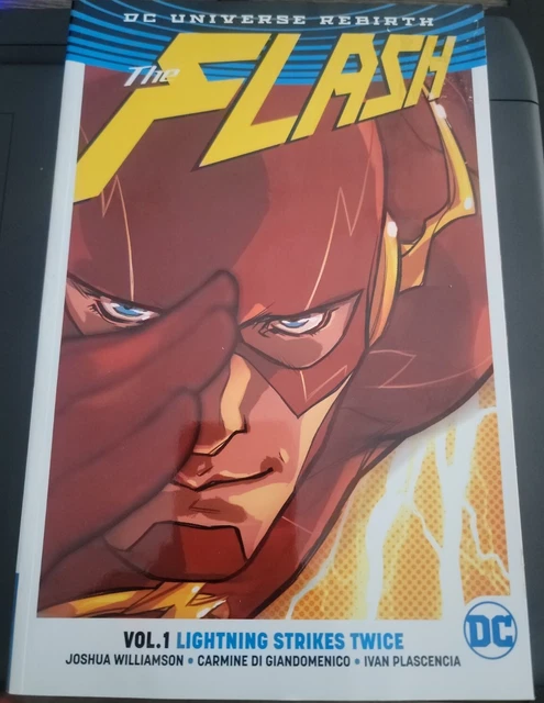 Flash Vol 1 Lightning Strikes Twice by J. Williamson (2017, Trade Paperback)