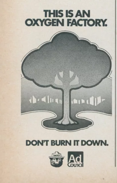 1979 Smokey The Bear PSA Tree Oxygen Factory Don't Burn It Down Vtg Print Ad SI3