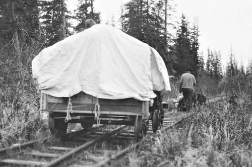 Dog Team Pulling Railroad Cart Alaska AK Reprint Postcard