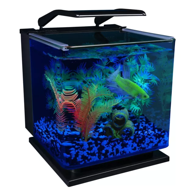 3 Gallon Betta Glass Aquarium Kit Includes LED Lighting and Filter Fish Tank