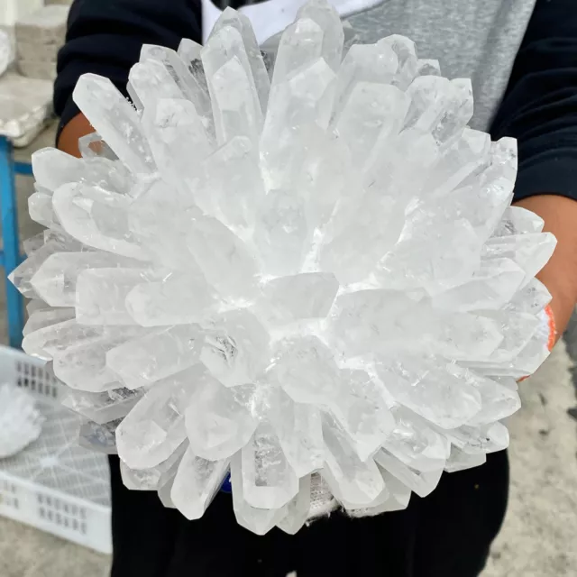 14.2LB Natural Tea crystal Quartz hand Carved skull crystal Reiki healing-AF
