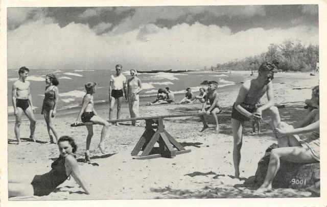 Presque Isle State Park PA~Bathing Beauties Beach~Kids on Teeter Totter~1940 B&W