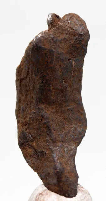 Raro, Gibeon Ferro Meteorite Fragment Completo Singole Esemplare Namibia