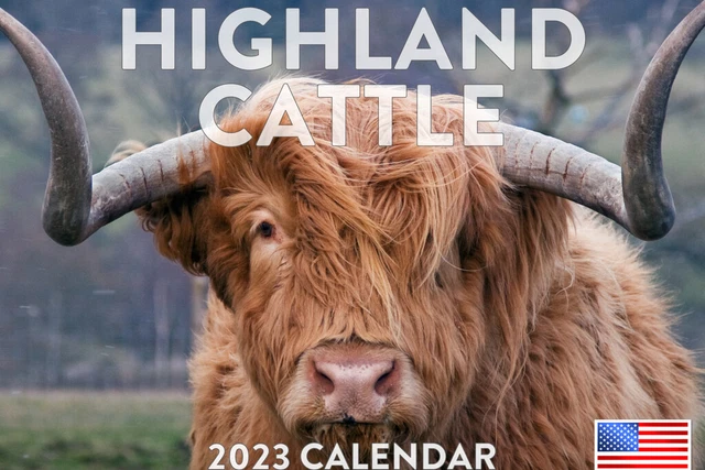 HIGHLAND COW 2023 Wall Calendar Farm Animal Cattle Gift Large 18 