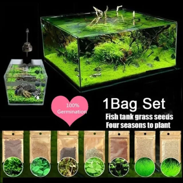 ⭐⭐⭐5/10g Aquarium Plant Seed Fish Tank Aquatic Water Grass Foreground Easy Plant