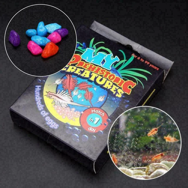 Aquarium Marine Sea Monkeys Live Ocean Monkey Tank Aquarium Toy-Habitat 2