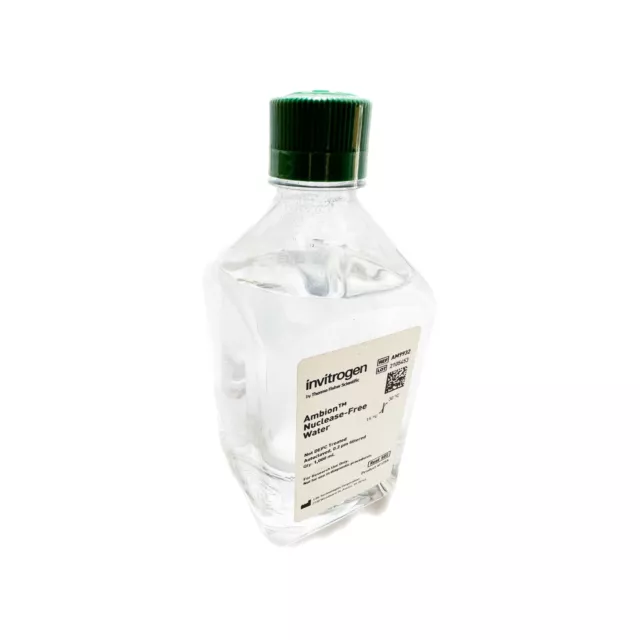 Thermo Scientific Invitrogen Ambion™ Nuclease-Free Eau 1L - Laboratoire Labo