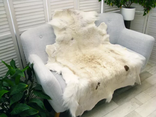 Genuine Rare ALBINO White Reindeer Hide Rug Real Skin Pelt Floor WALL Cover R529 2