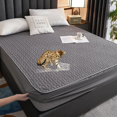 Uuq online latex pillow