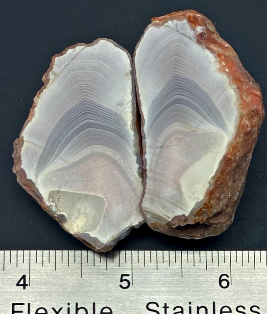 Queensland Agate Nodule Both Halves Rough - Collector Quality -  Australia 88g