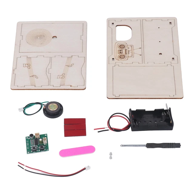 Kit Radio Fai-da-te In Legno Per Bambini: Esperimento Scientifico STEM Con Colori E Pennelli, Da Assemblare Senza Saldature, Regalo Educativo