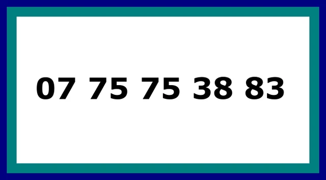 Numéro De Téléphone FACILE - PRO - VIP (envoi Immédiat) – Opérateur Free
