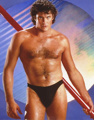 A David Hasselhoff Shirtless With Tanned Body 8x10 Photo Print