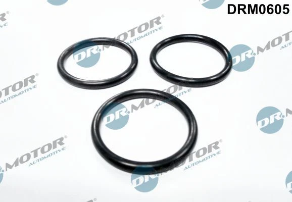 Guarnizione Pompa Acqua Dr.motor Automotive Drm0605 per Citroen Fiat Ford 06->