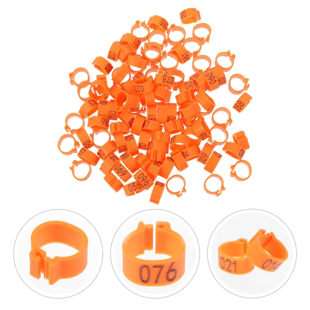 100 pz etichette braccialetti pollo 10 mm caviglia piccione bambino