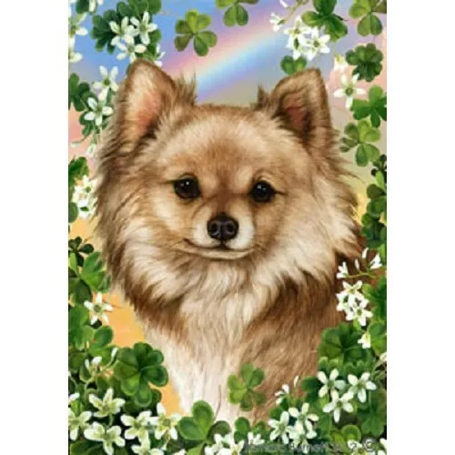 Clover Garden Flag - Longhaired Chihuahua 311451