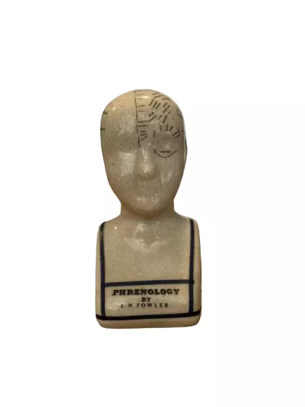 L.N  fowler porcelain 6" phrenology ceramic head crackle glaze finish