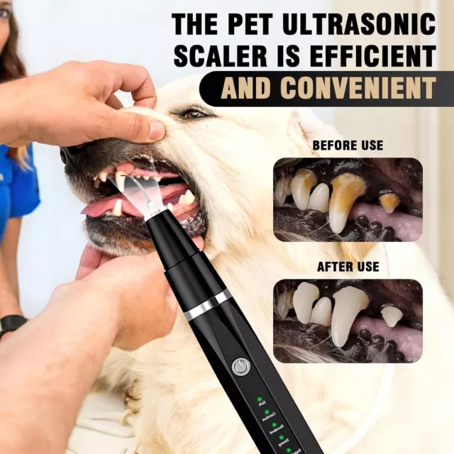 Hund Zahnsteinentferner Ultraschall ZahnbüRste UltraschallzahnbüRste FüR Hunde.