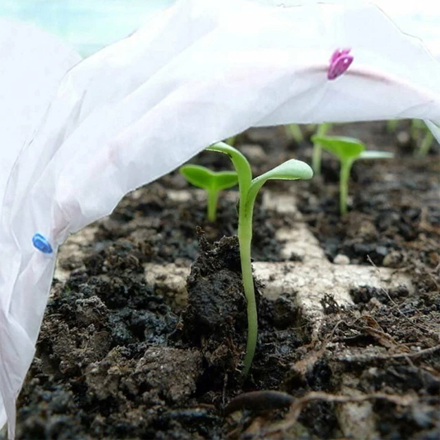 Plant Cover Plant Cover Protection Transparent Accessories Freeze Garden