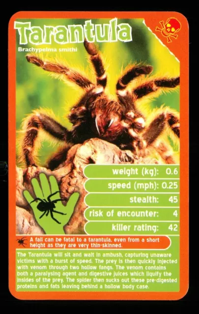 1 x info card deadliest predator Tarantula spider - R114