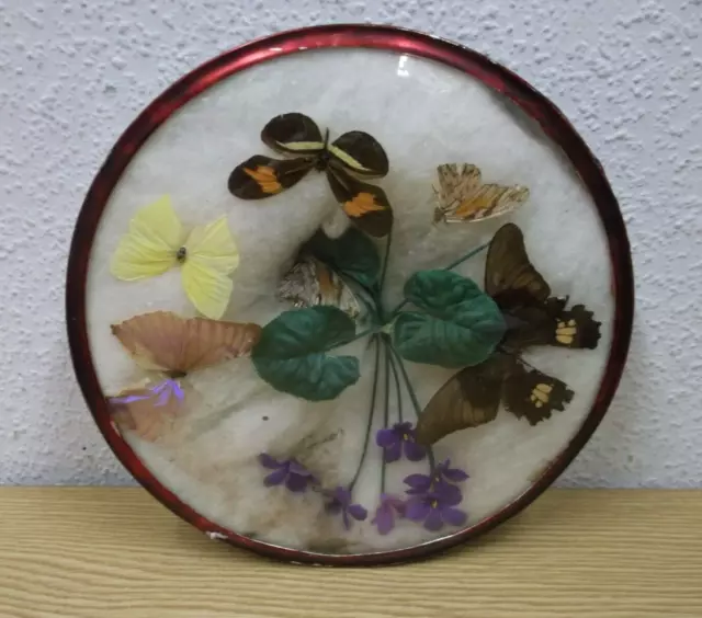 50er 60er Zierteller Wandteller Schmetterlinge Handarbeit 50s 60s Vintage