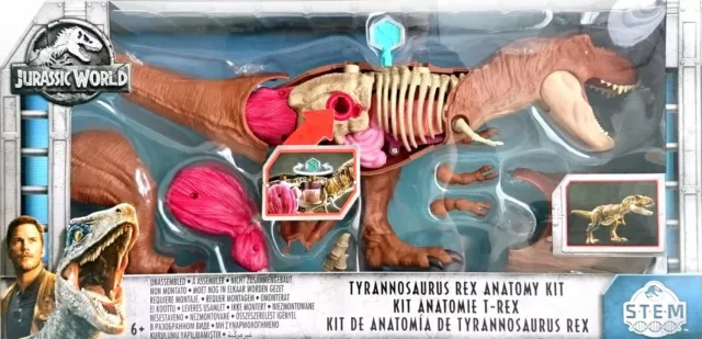 Mattel jurassic world stem tyrannosaurus rex sales anatomy kit