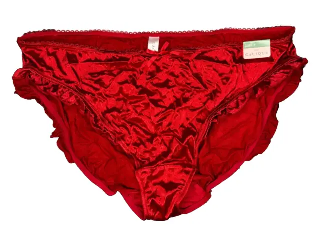 VINTAGE CACIQUE SHINY Slippery Satin Second Skin Bikinis Panties 22/24  $39.69 - PicClick