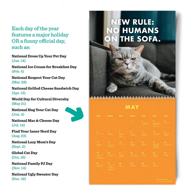 2024 PISSEDOFF CATS Calendar, Funny Cat Wall Calendar Home Office