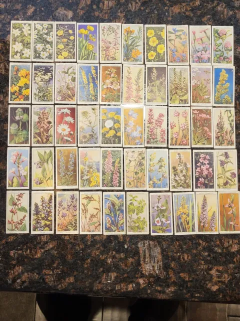 1930's W.D. & H.O. Wills Cigarette Cards - Wild Flowers - Second Series of 50