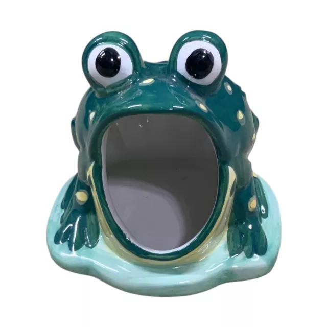 https://www.picclickimg.com/P-IAAOSwQ69le3uy/Green-Ceramic-Frog-Sponge-Holder-Retro-Big-Mouth.webp