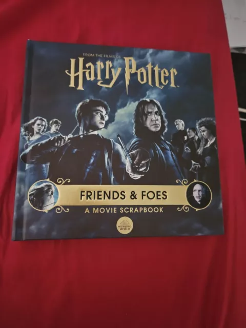 Harry Potter Friends And Foes