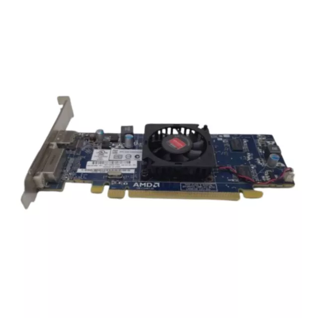 Scheda video Radeon HD6450 512MB PCI-E Video Card AMD HD 6450 637183-001